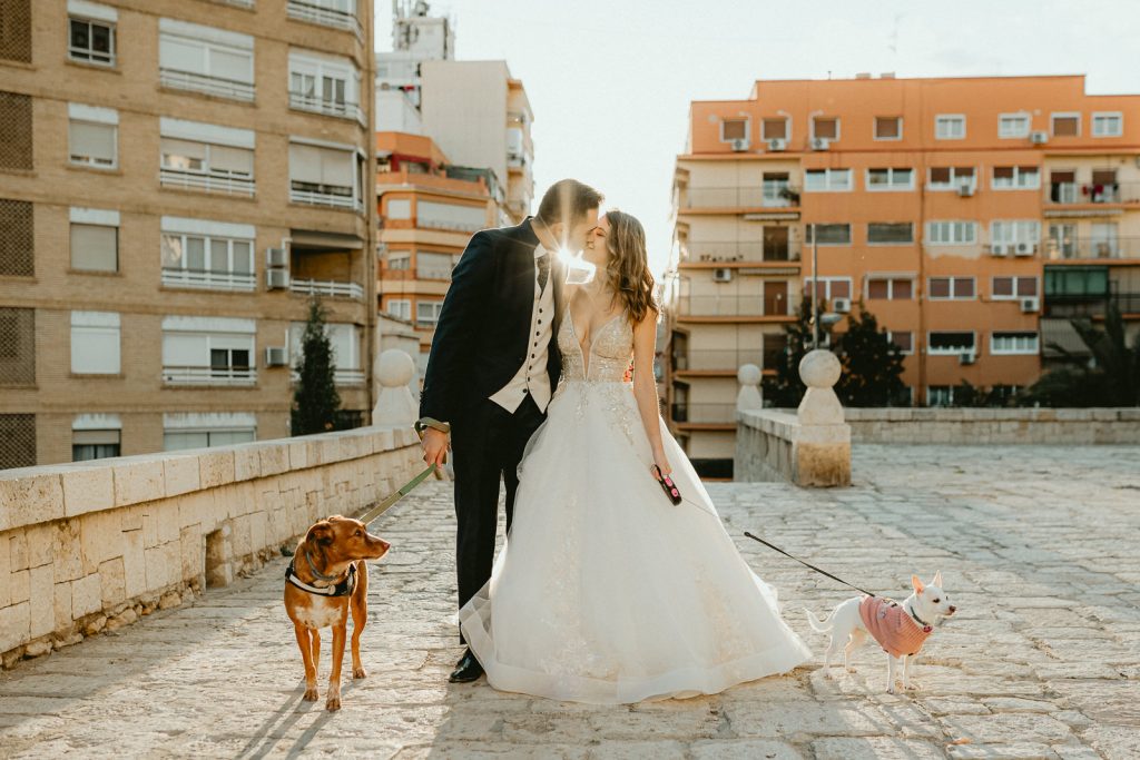 postboda-mascotas